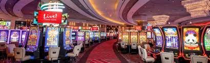 yy555 Live Casino online dengan dealer sungguhan